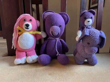 Photo of free Handmade Stuffed Toys (Whaley Thorns NG20) #1