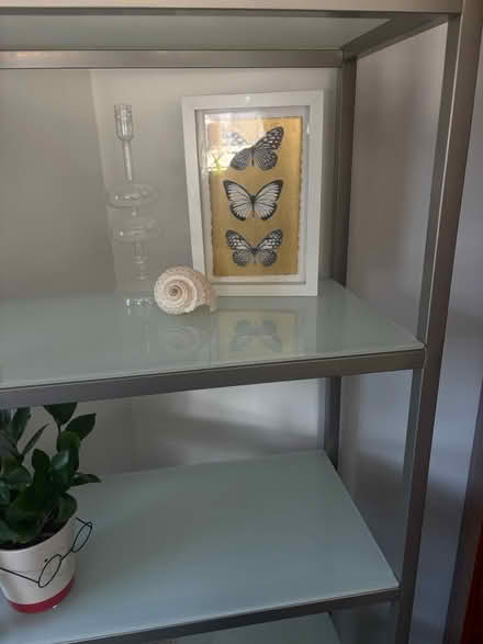 Photo of free Glass metal shelves (W. 72nd St., NY,NY 10023) #3