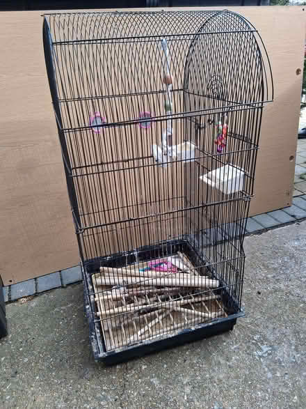 Photo of free bird cage accessories (Walderslade ME5) #3