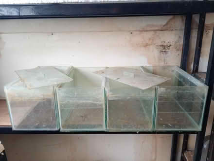 Photo of free 4x SMALL FISH TANKS (Loughton & Woodford IG10) #1