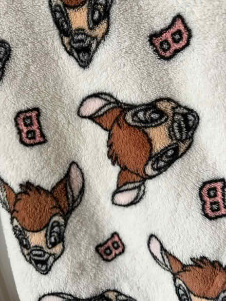 Photo of free Primark Hooded Disney Blanket (Westbury Wilts BA13) #2