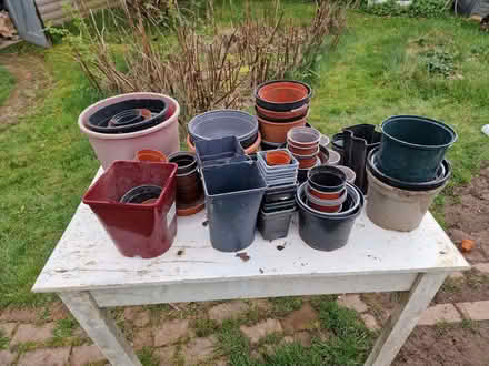 Photo of free Plastic Plant Pots (Yarpole HR6) #1
