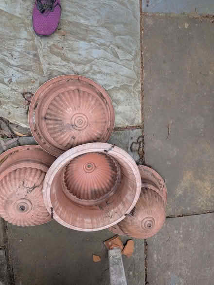 Photo of free Hanging baskets (St Albans AL4) #1