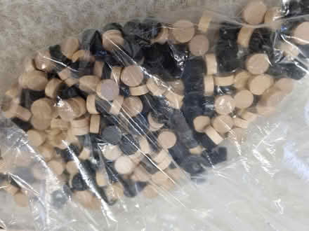 Photo of free Othello / Go game (CM2 springfield, chelmsford) #2