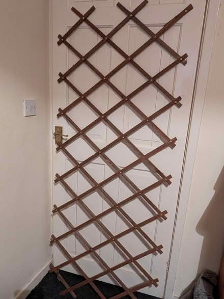 Photo of free Folding trellis (Moseley, Birmingham, B13) #1