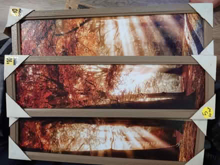 Photo of free 3 tall paintings (Powder Springs) #2