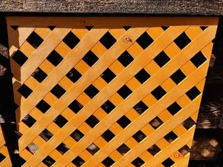Photo of free 4 pieces good quality lattice (Huron and Wellington) #2