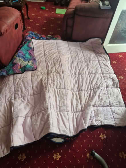 Photo of free Two sleeping bags (Galleywood CM2) #2