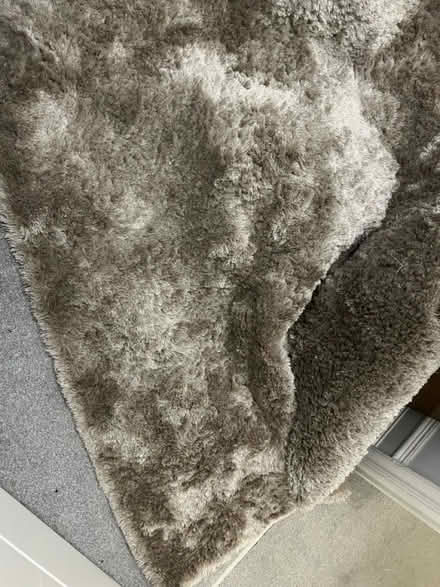 Photo of free Soft beige rug (N10 2NL) #3