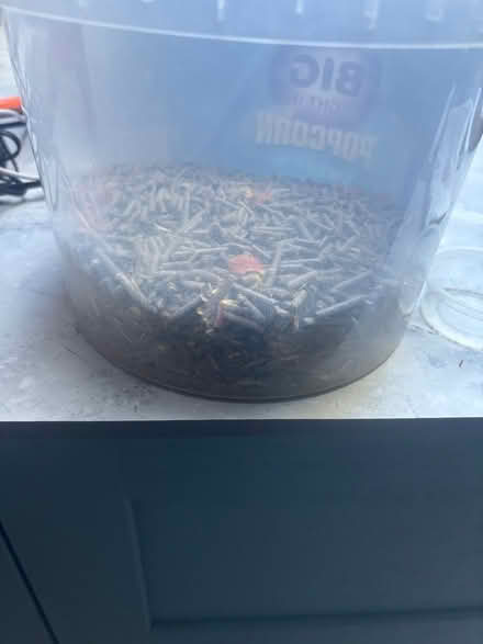 Photo of free Rabbit Nuggets (BH14) #2