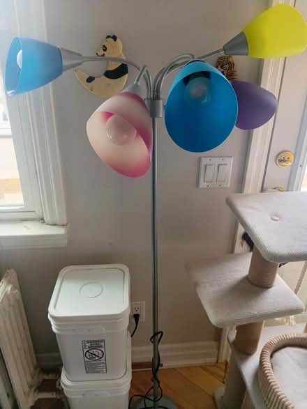 Photo of free Multicoloured floor lamp (Farm Boy on Brownsline) #2