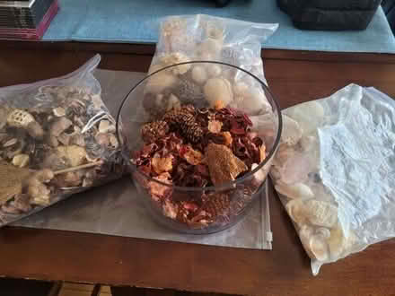 Photo of free 4 Season Potpourri + glass #repost #1