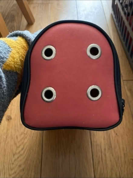 Photo of free Small Animal Carrier (Cheshunt En8) #4