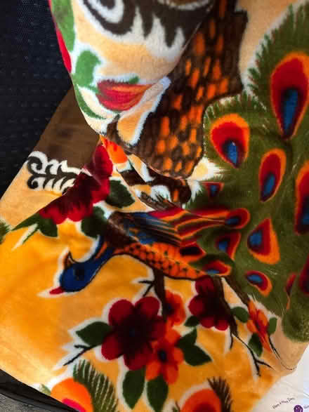 Photo of free Large Thick Creel Blanket (E3) #2