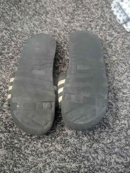 Photo of free Adidas slides (Stormville) #2