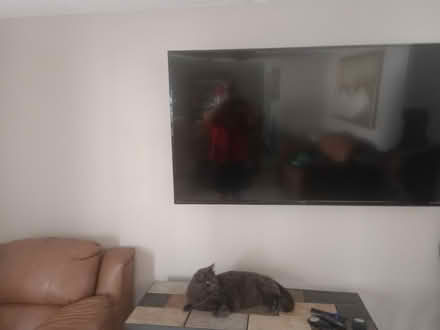 Photo of free doa 65" tv (Largo near Ulmerton & Starkey) #1