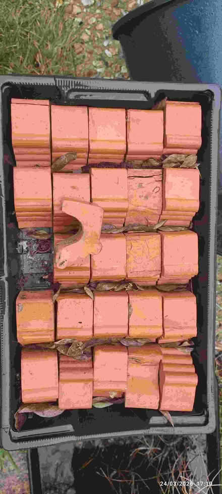 Photo of free Terracotta pot stands (Stanley Green BH15) #1