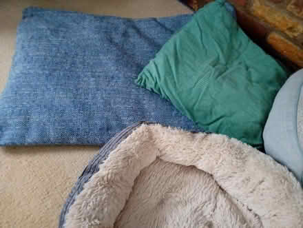 Photo of free Small Dog Items (Melbourn SG8) #2