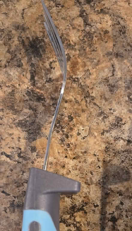 Photo of free 1 set utensils for mobility issues (Sunnyvale) #3