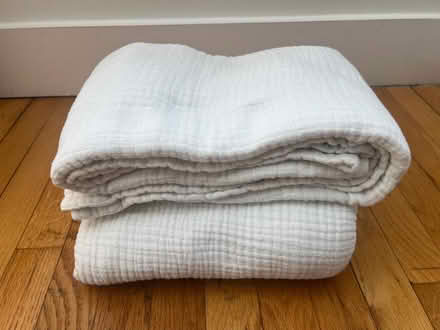 Photo of free 2x euro twin duvets w. gauze covers (Walden - North Porter Square) #2
