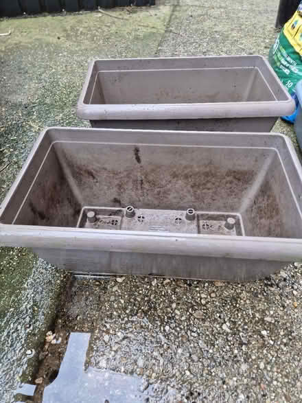 Photo of free Small plastic plant troughs (Heybridge CM9) #3