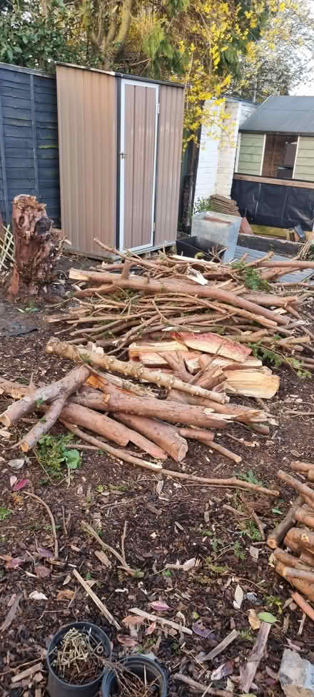 Photo of free Fire wood galore (Holbrooks CV6) #4