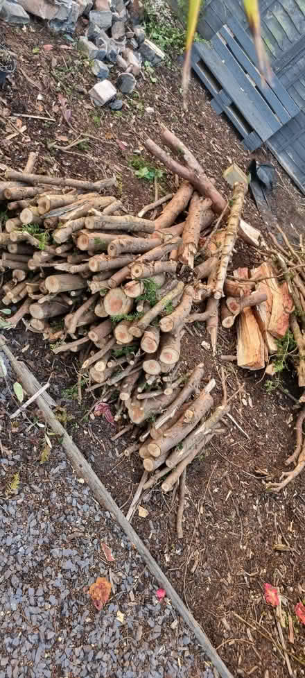 Photo of free Fire wood galore (Holbrooks CV6) #3