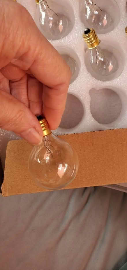 Photo of free 34 Incandescent festoon outdoor lightbulbs. (Tye Green Village CM18) #2