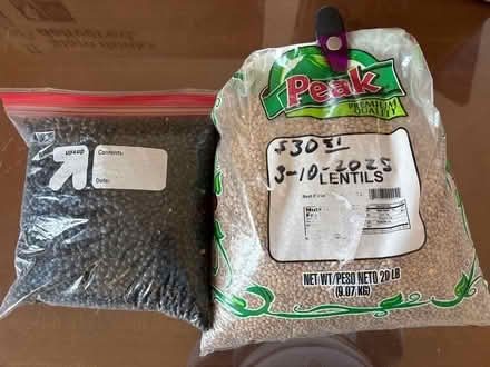 Photo of free Beans (Darien) #1