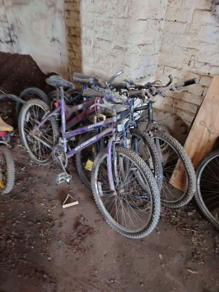 Photo of free Mountain bikes + small bike (Shifnal TF11) #1