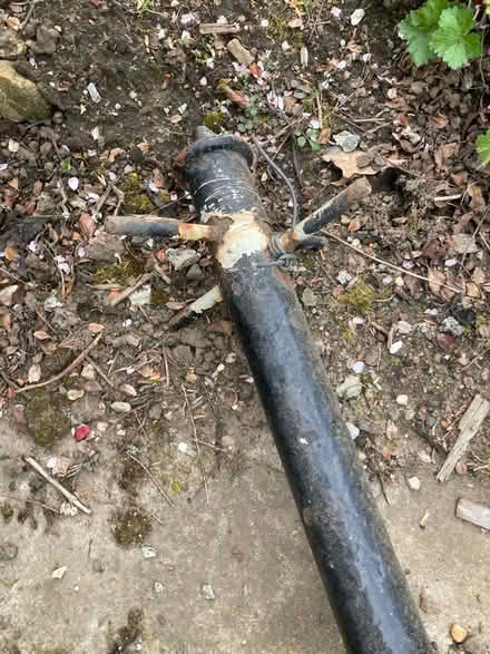 Photo of free Traditional washing pole (Duddingston EH15) #2