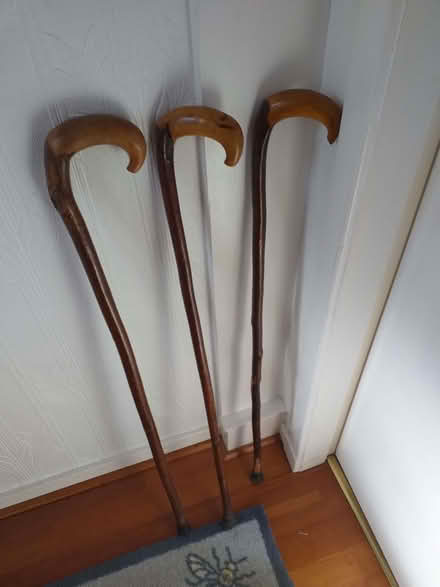 Photo of free Wooden walking sticks (Garthdee AB10) #1