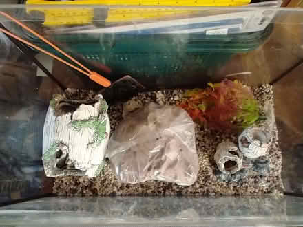 Photo of free Fish tank (Flitwick MK45) #2