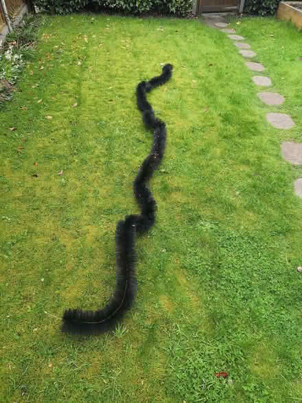 Photo of free Gutter brush (Old Woking GU22) #1