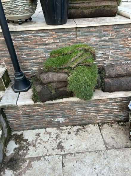 Photo of free Garden turf (Wallasey CH45) #2