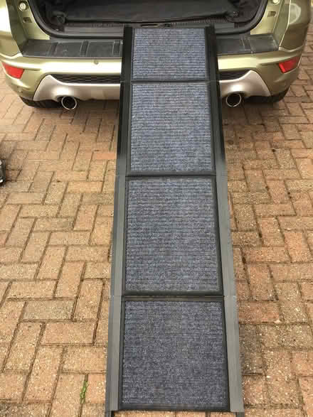 Photo of free Dog ramp (Englefield Green TW20 0) #1