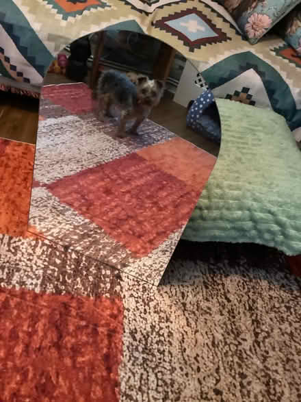 Photo of free Arch shaped mirror (Bedfont TW14) #2