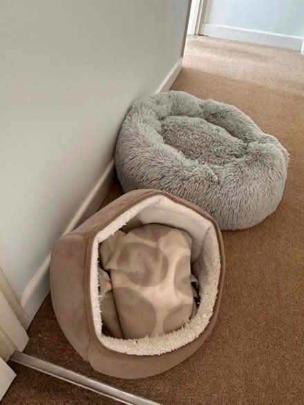 Photo of free Cat beds (RG30, Reading West) #1