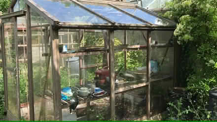 Photo of free Alton Wooden Greenhouse (Arundel BN18) #1