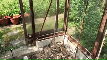 Photo of free Alton Wooden Greenhouse (Arundel BN18) #2