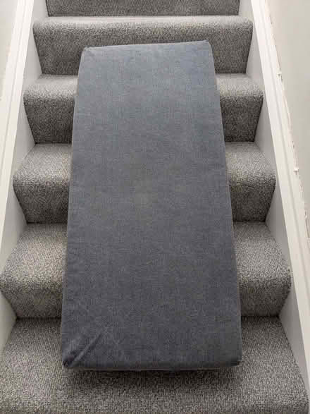 Photo of free Cushion pad (Beulah Hill SE19) #1