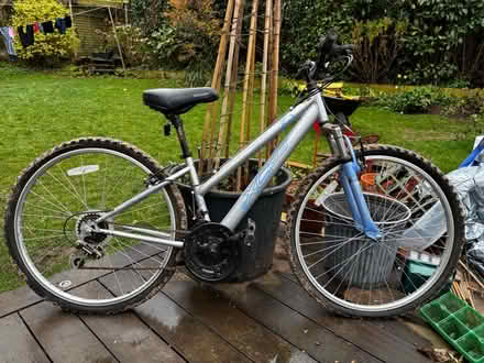 Photo of free Bicycle 14 inch frame - female (Chesham HP5) #1
