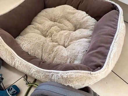 Photo of free Dog items (Worsley M28) #3