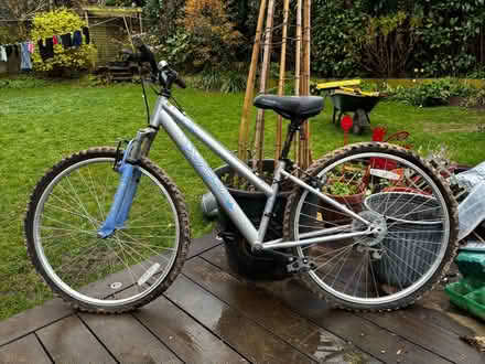 Photo of free Bicycle 14 inch frame - female (Chesham HP5) #2