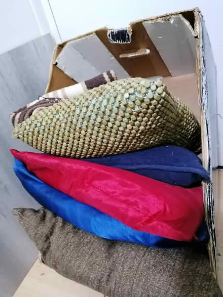 Photo of free Cusions and rug S1 (sheffield S1) #3