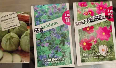 Photo of free Various seeds (BH9, Winton) #3