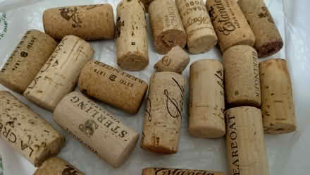 Photo of free Pumpkin Spice Oat Barista Creamer (Near West Gate Mall) #2