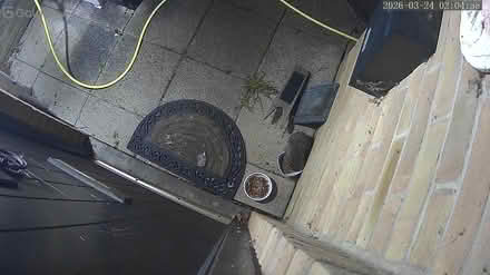 Photo of cat food (Windsor Sl67ja) #1