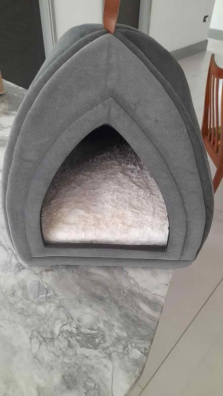 Photo of free Cat Igloo (Freshfield, Formby) #1