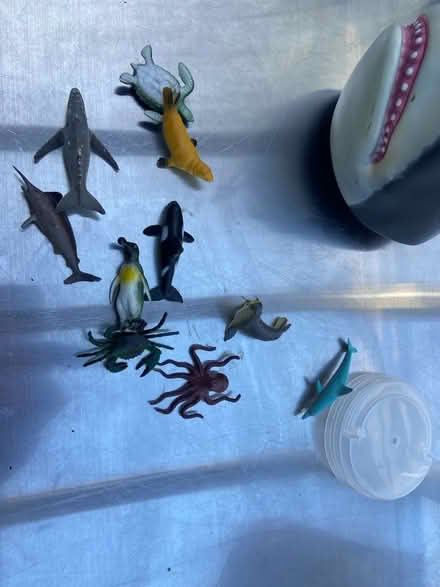 Photo of free Kids’ sea creature figures (BT10) #1